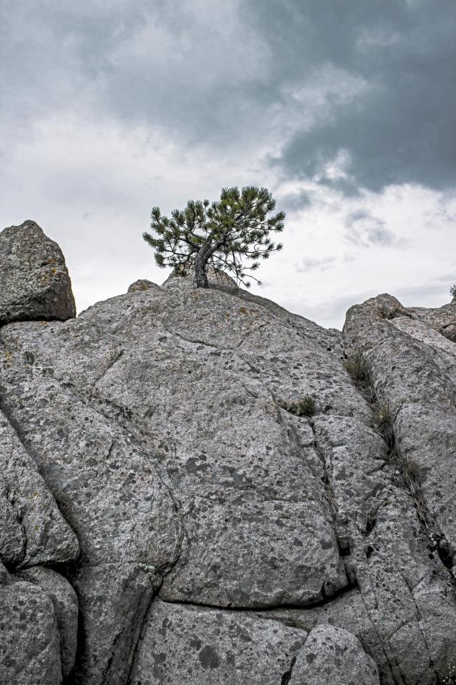 RUAG Wertebild resilient