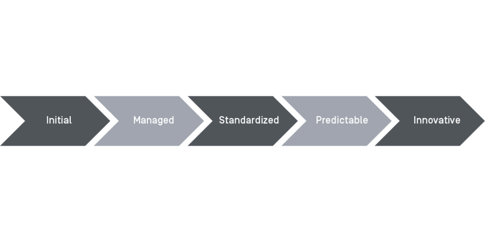 Business Proxess Managemen